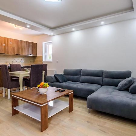 Apartmani “Lazar” I “Lena” コパオニク エクステリア 写真