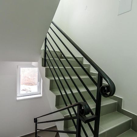 Apartmani “Lazar” I “Lena” コパオニク エクステリア 写真